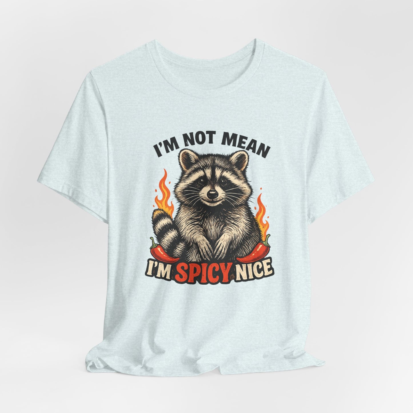 Spicy Nice Raccoon T-Shirt — "I'm Not Mean, I'm Spicy Nice" Graphic Tee