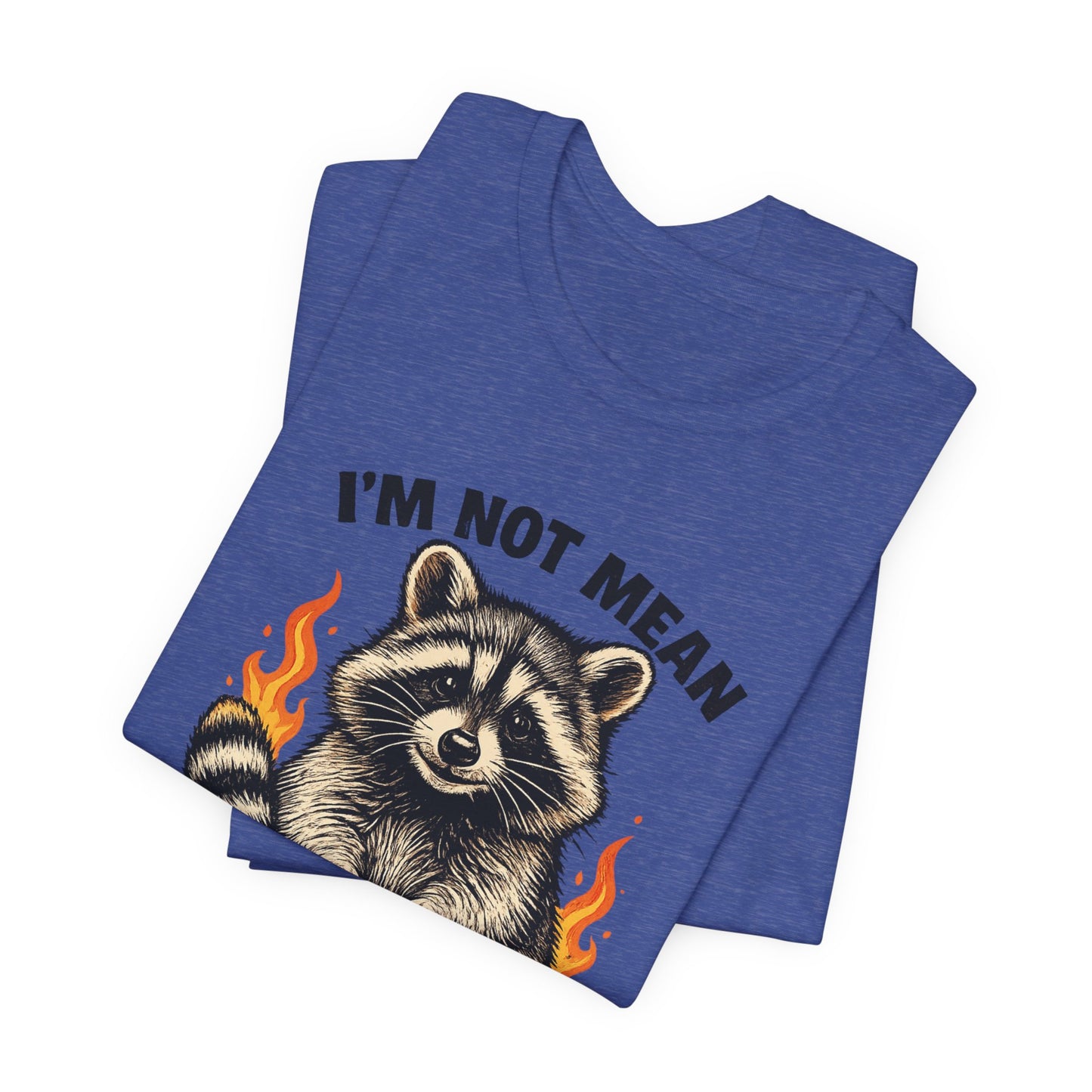 Spicy Nice Raccoon T-Shirt — "I'm Not Mean, I'm Spicy Nice" Graphic Tee