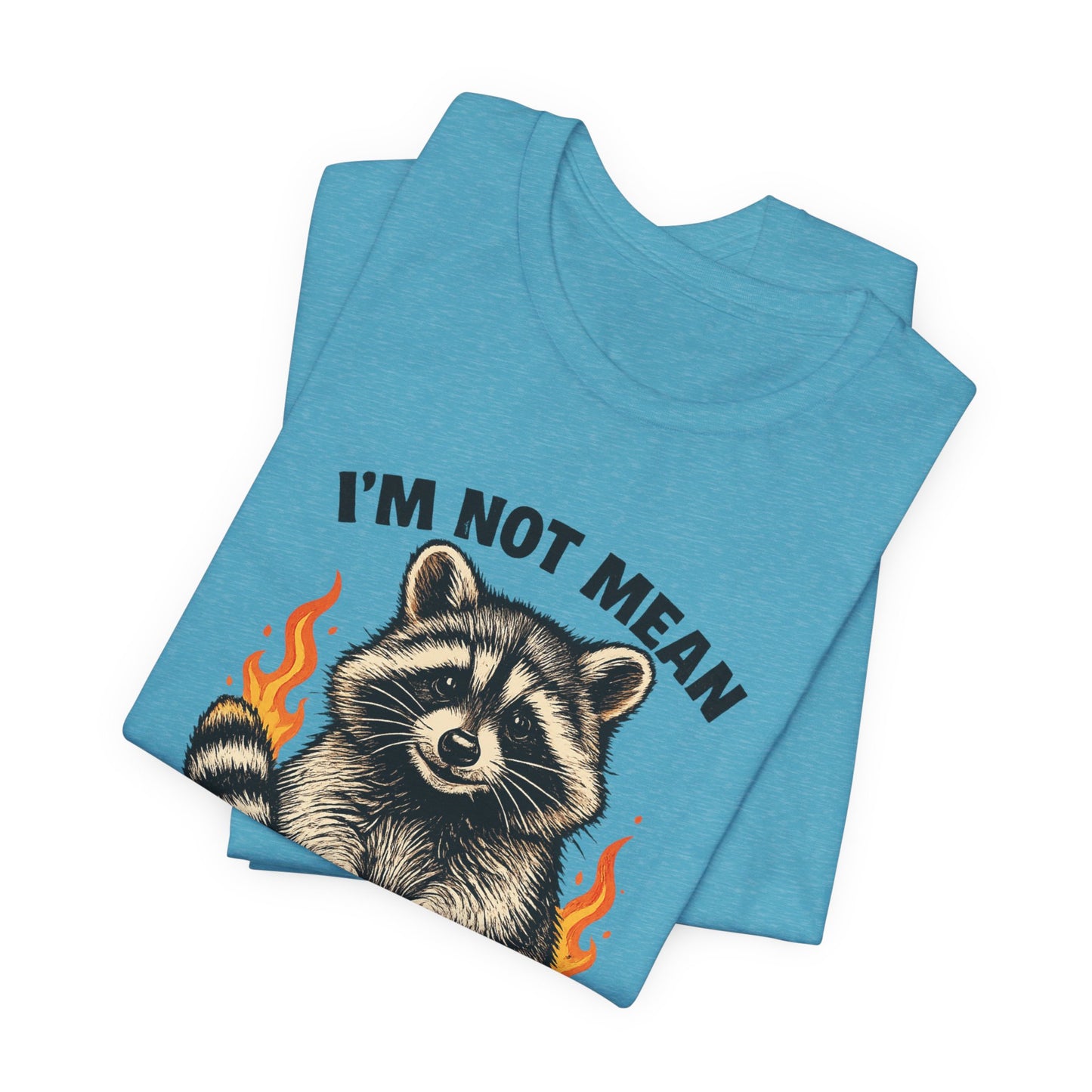 Spicy Nice Raccoon T-Shirt — "I'm Not Mean, I'm Spicy Nice" Graphic Tee