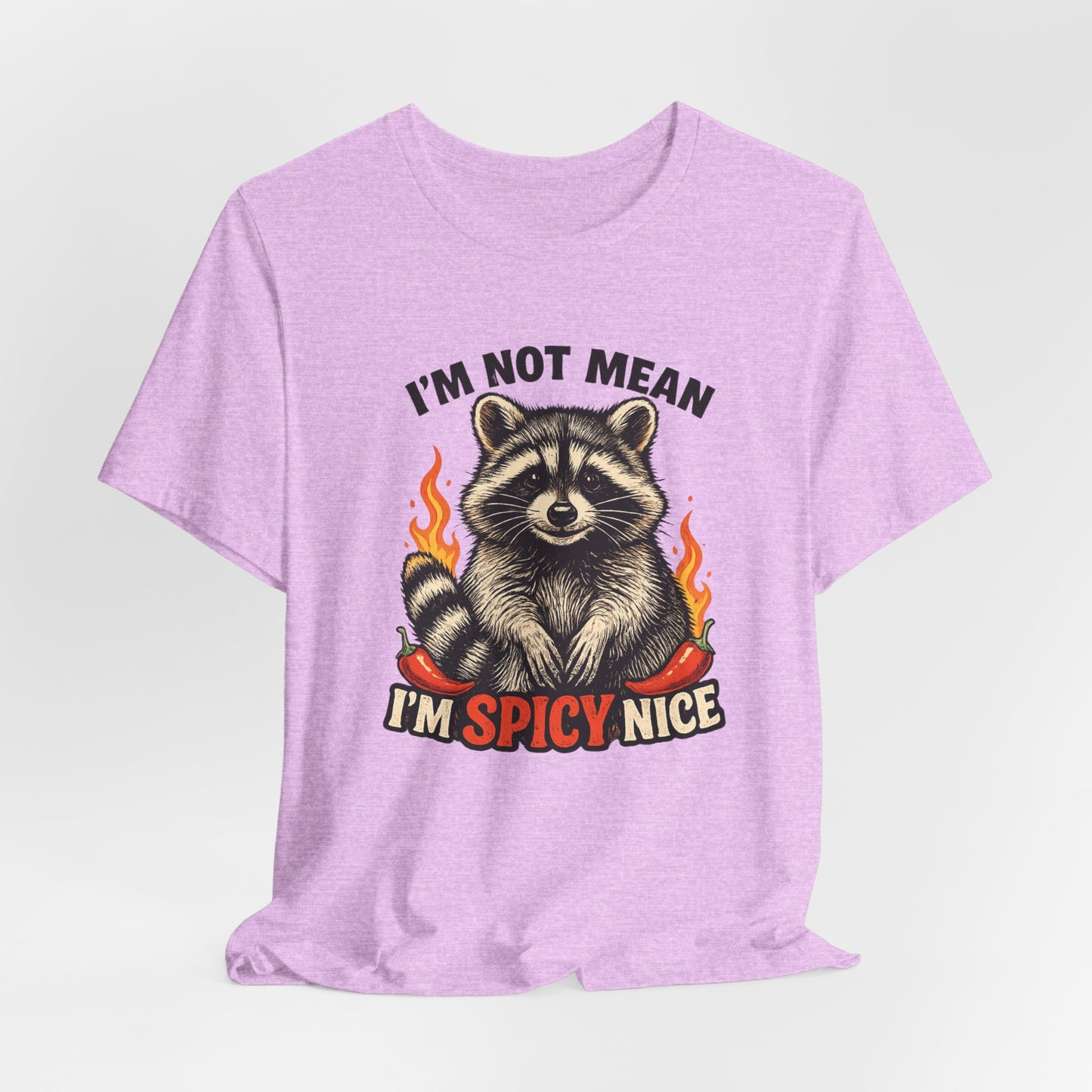 Spicy Nice Raccoon T-Shirt — "I'm Not Mean, I'm Spicy Nice" Graphic Tee