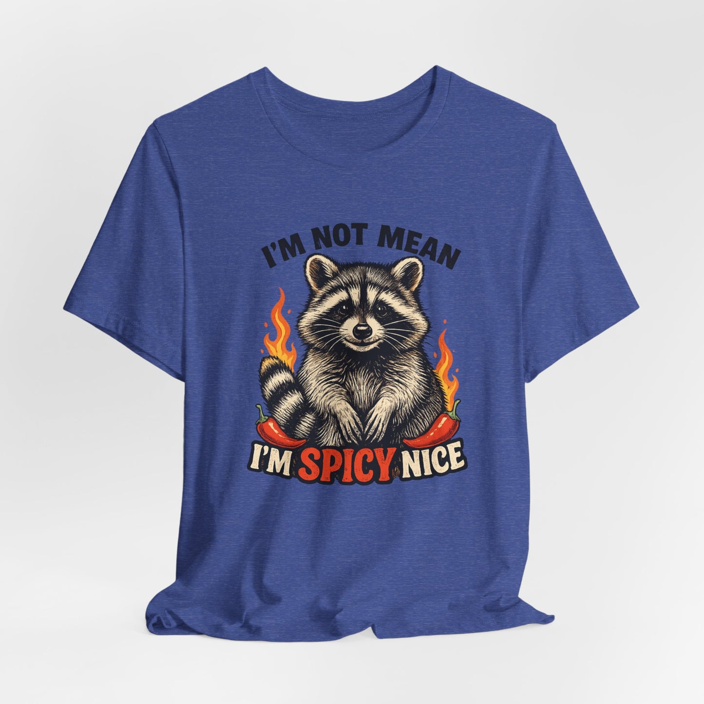 Spicy Nice Raccoon T-Shirt — "I'm Not Mean, I'm Spicy Nice" Graphic Tee