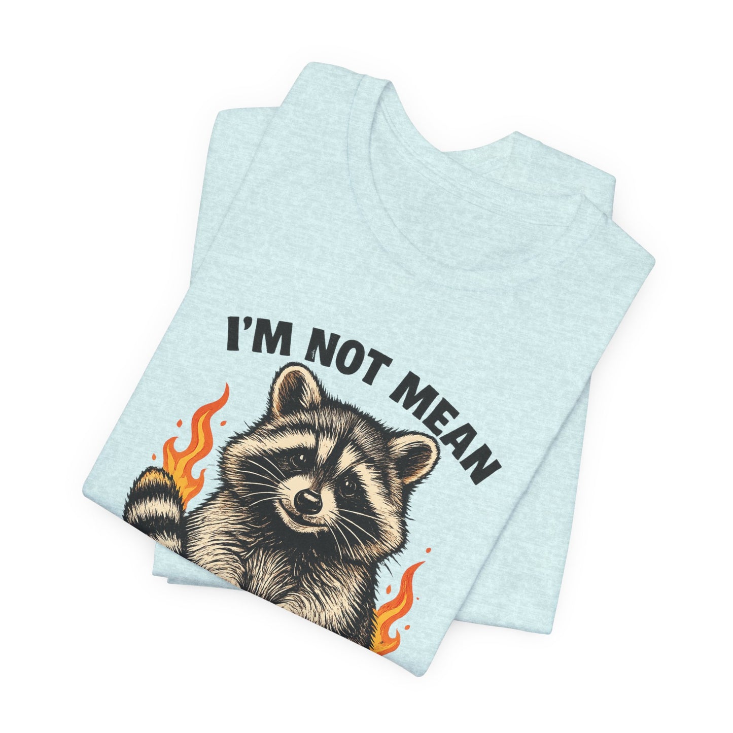 Spicy Nice Raccoon T-Shirt — "I'm Not Mean, I'm Spicy Nice" Graphic Tee