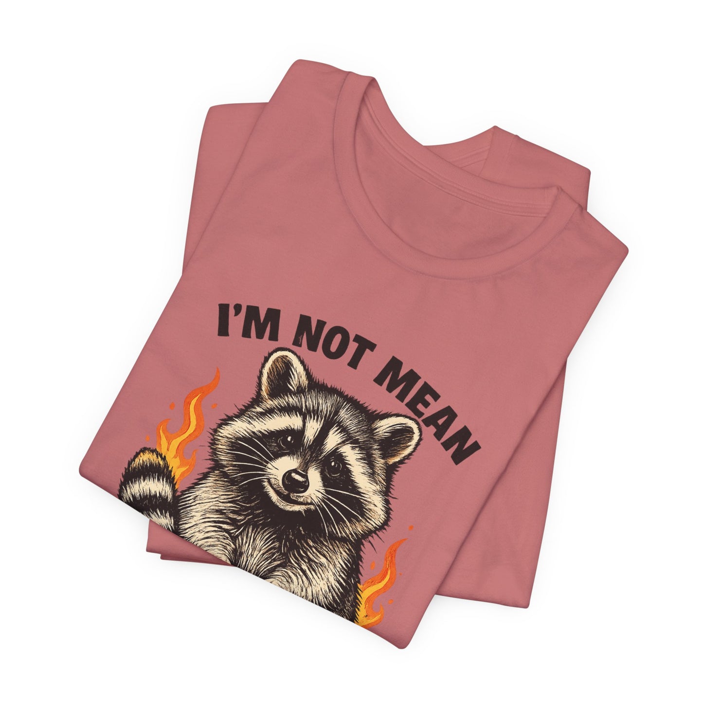 Spicy Nice Raccoon T-Shirt — "I'm Not Mean, I'm Spicy Nice" Graphic Tee